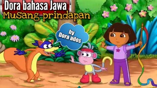 Dubbing jawa Dora the Explorer bahasa Jawa ( Musang prindapan )