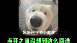 Sebelum membukanya, aku tidak menyangka akan seaneh ini, benar-benar gila!