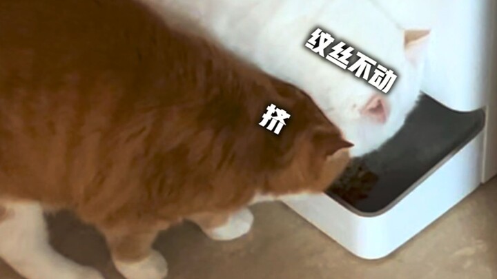 Bayi: “Dami udah selesai makan!” Dami: “Masih lama kok!”