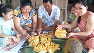 Cùng Gia Đình Thưởng Thức Mít Chính Cây Vào Những Ngày Đầu Năm Mới Thơm Bát Ngát| TKQ & Family T509