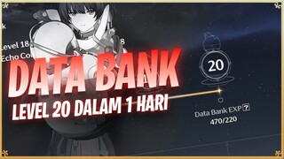 CARA LEVEL 20 DATA BANK DALAM  WAKTU YANG SINGKAT - WUTHERING WAVES [TOPUP DI FEBRY.STORE]