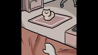 [eveonecat] 仿 EverydayOneCat 画风  自制动画