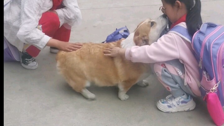 Another day of being swarmed! This is the kids’ daily check-in spot after school. They’re getting mo