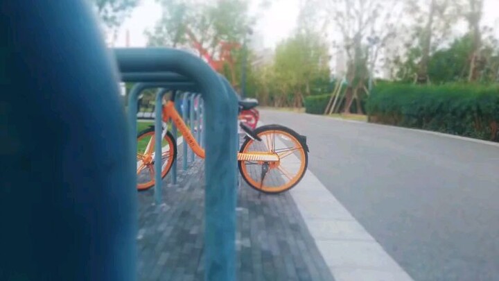 bagaimana jika waifumu menjadi nyata?