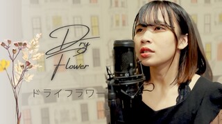 【Naya Yuria】Yuuri - Dry Flower『歌ってみた』#JPOPENT