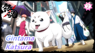 Gintama | [EP 29] Hari Normal Katsura_2