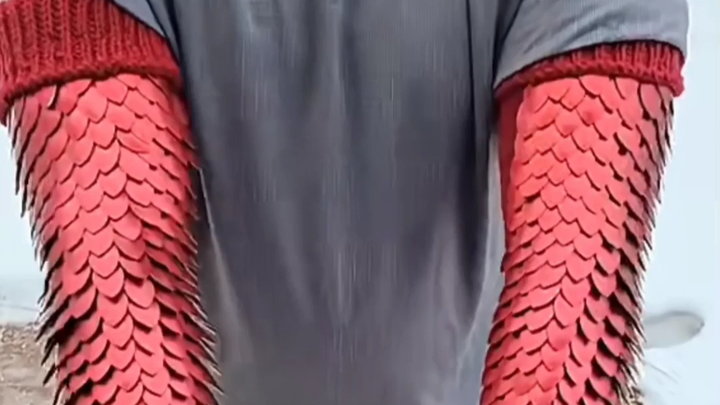 Blazing Dragon Knight’s Dragon Scale Armor—essential for home and travel; you deserve to own it.