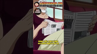 Chính phủ thế giới chưa từng muốn truy lùng Rayleigh | One Piece #anime #onepiece #luffy