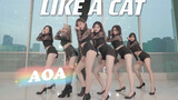 【孙子团】经典回顾｜猫步轻俏Like A Cat-AOA舞蹈翻跳