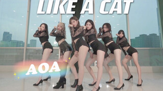 นึกถึงความคลาสสิค｜โคฟเวอร์แดนซ์เพลง Like A Cat-AOA