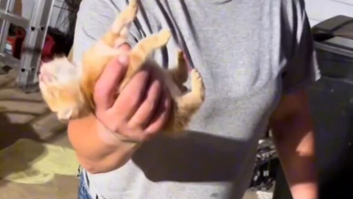 หมั่นล่า ฉันแกล้งทำเป็นตายก่อนนะ