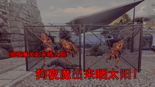 【消逝的光芒】把夜魔关起来晒太阳！#沙雕网友的问题（不知道第几期了