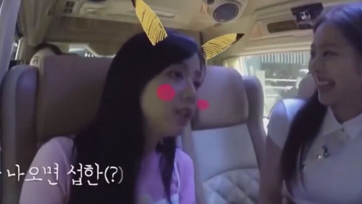 【BLACKPINK】Jisoo, bạn định làm tôi cười chết mất thôi, hahaha