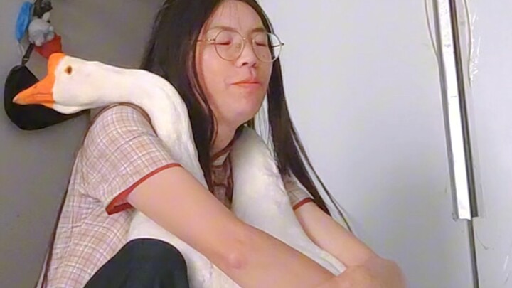 Only after I started keeping geese as pets did I realize: geese really do just stand there and wait 