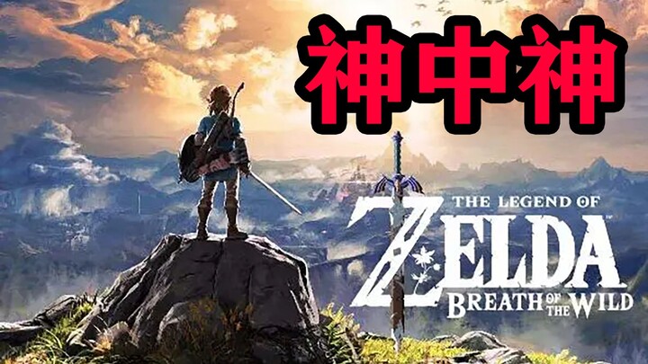 [The Legend of Zelda] These 10 Minutes Sum Up My Entire Understanding of Breath of the Wild