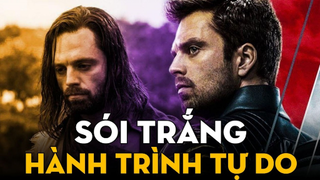 BUCKY BARNES - Hành Trình Tự Do Của Sói Trắng - Falcon and The Winter Soldier | Ten Tickers