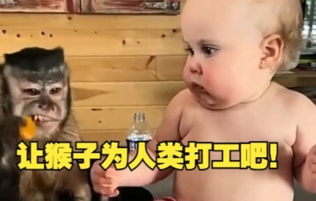 This is the right way to interact with monkeys! Let monkeys work for humanity!
