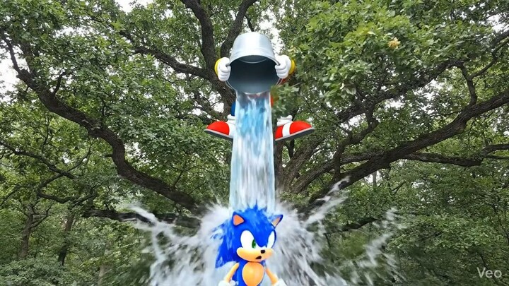 Water - prank -  sonic