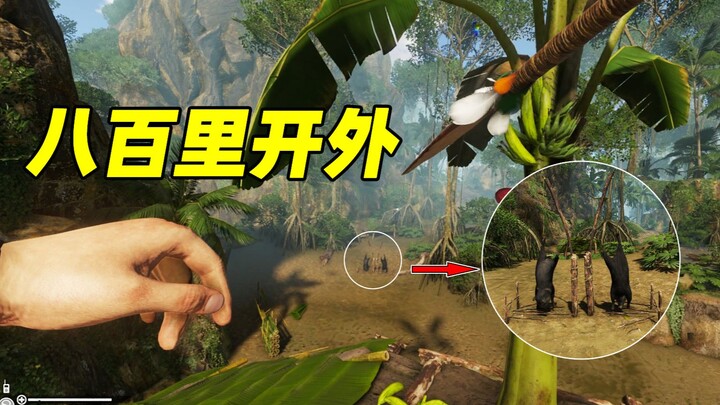 From "800 li" away, a spear pierces a little piglet