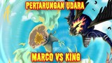 PERTARUNGAN DAHSYAT!! Marco VS King "AKAN MENGHEBOHKAN" Banyak Fans One Piece Dunia