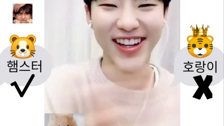 【Kwon Soon-young】When Kwon Chang was tricked by fans into imitating a hamster, his instinctive gestu