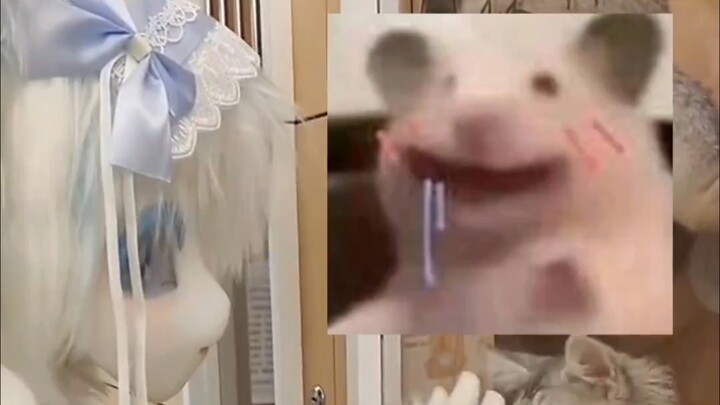 突然感觉次元壁破了！