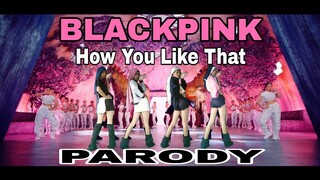 BLACKPINK - 'How You Like That' M/V PARODY (Low Budget Version)