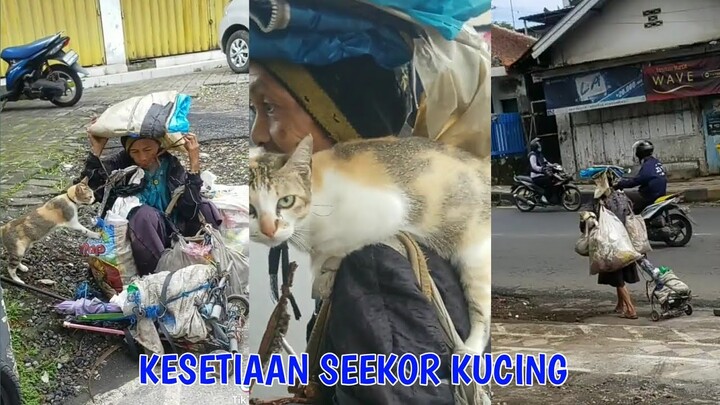 KUCING HIDUP DIJALAN DENGAN MAJIKANNYA YANG SEDANG SAKIT.