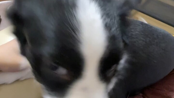 การติดสติกเกอร์มีราคาที่ต้องจ่าย