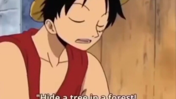 one piece luffy