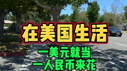 在美国生活，一美元就得当一人民币花