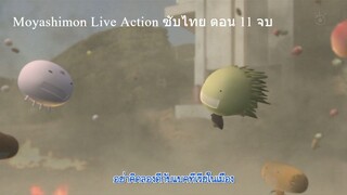 Moyashimon Live Action ซับไทย ตอน 11 จบ