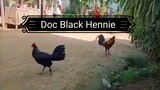 Doc Black Hennie in Action