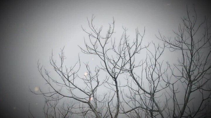 Cánh Cửa Bí Mật - Tập 02