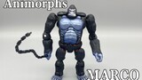Transformers Animorphs series/động vật biến hình, MARCO/Mark trong hình dạng khỉ đột
