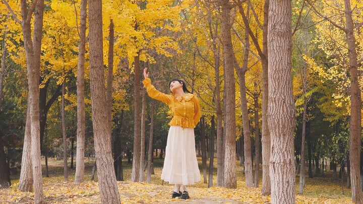 [Pan-Fried Buns] Unrequited Love / One-Sided Love [Original Choreography]