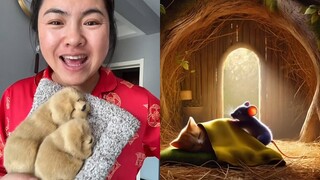 臭猴子偷吃小猫咪的香蕉。