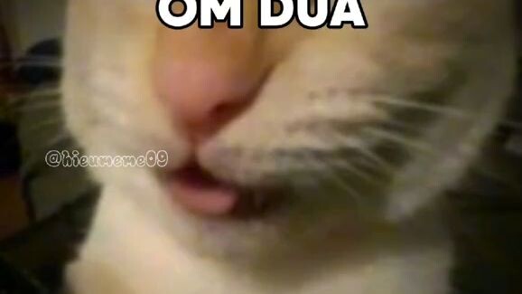 ....