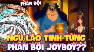 NGŨ LÃO TINH TỪNG PHẢN BỘI JOYBOY? | CHÍNH PHỦ THẾ GIỚI TỪNG TRONG BĂNG HẢI TẶC JOYBOY?