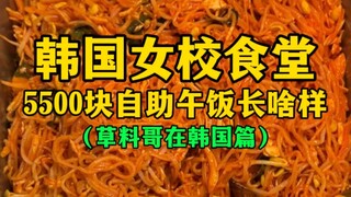 Seperti apa makan siang prasmanan seharga 5.500 yuan di kafetaria sekolah putri Korea? (Perbandingan