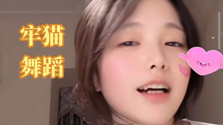 Mèo nhà tù nhảy múa phiên bản thưởng thức trọn vẹn