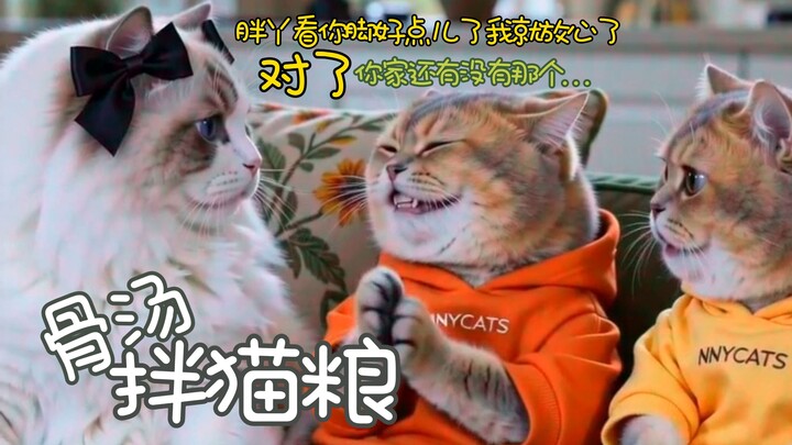 น้ำซุปกระดูกคลุกอาหารแมว กินไม่ได้ฉันก็ไม่สะทกสะท้านสักนิด!