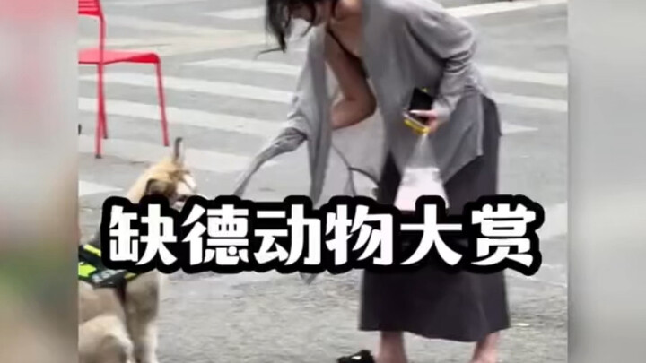 جوائز السلوك الحيواني الفاضح والمخزي...