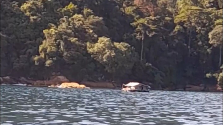 berlayar di lautan yang indah laut selatan