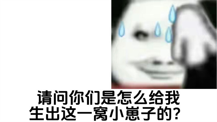 关于徒弟与猫妖的“孽缘”！