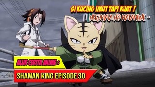 SI KUCING IMUT TAPI KUAT !  - SHAMAN KING (2021) #EP30