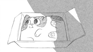 Who said this cat is fat? This cat is awesome~