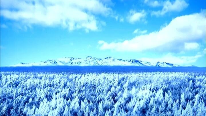 Televisão Central da Coreia (16.01.2026)