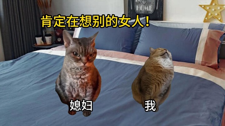 [Cat Meme] My husband is definitely thinking about other women!