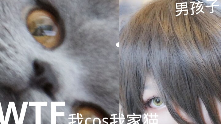 قطتي لم تتغير، أنا من تغيّرت أولاً.